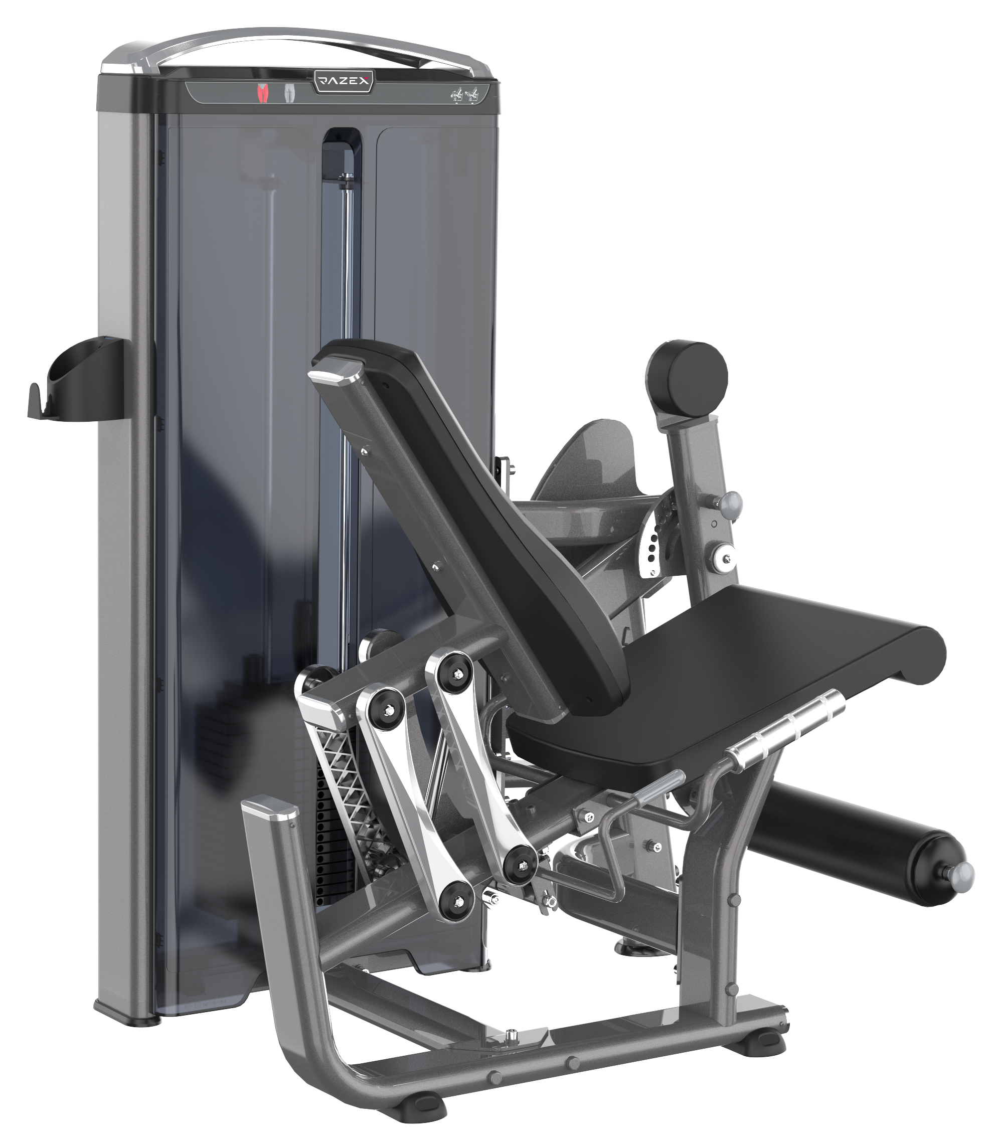 Leg Extension